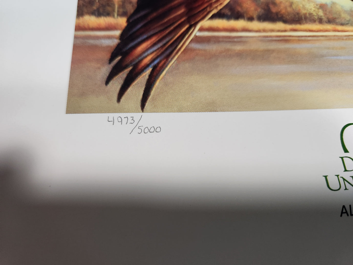 Vintage 75th Anniversary Ducks Unlimited Sponsor Signed and Numbered Poster 11x13