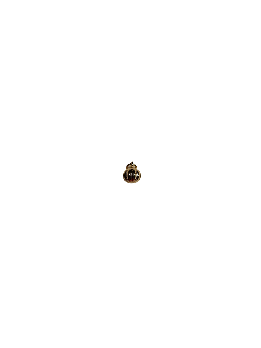 Pumpkin Itsy Charm