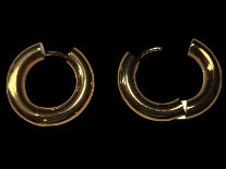 Hoop Earrings in Gold