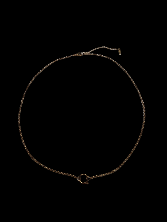 Birthstone Charm Necklace Style #1