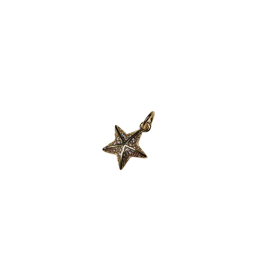 Starfish Charm Small